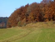 Viele Wander- und Spaziermöglichkeiten